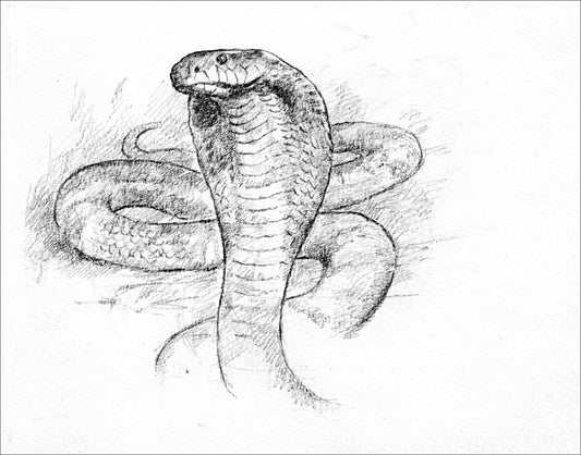 Snake