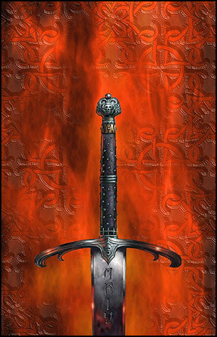 Chronicle of the Black Sword [DVD]( 未使用品)　(shin