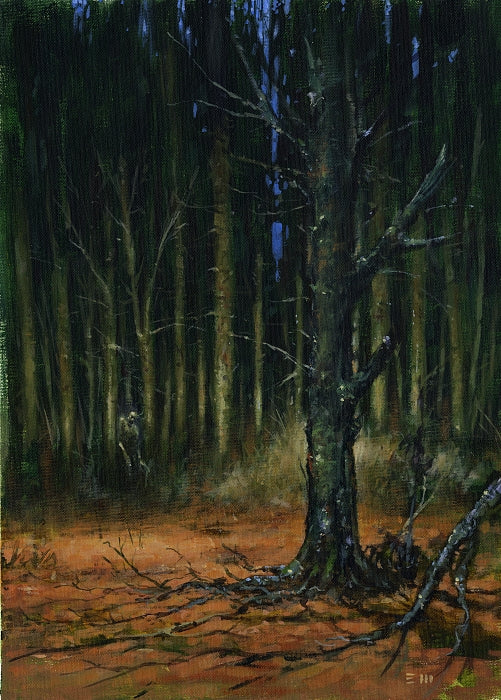 The Darkest Part of the Woods (interior)