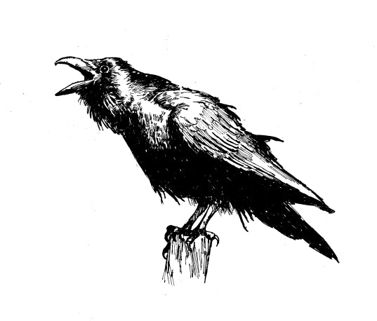 Poison;The Raven